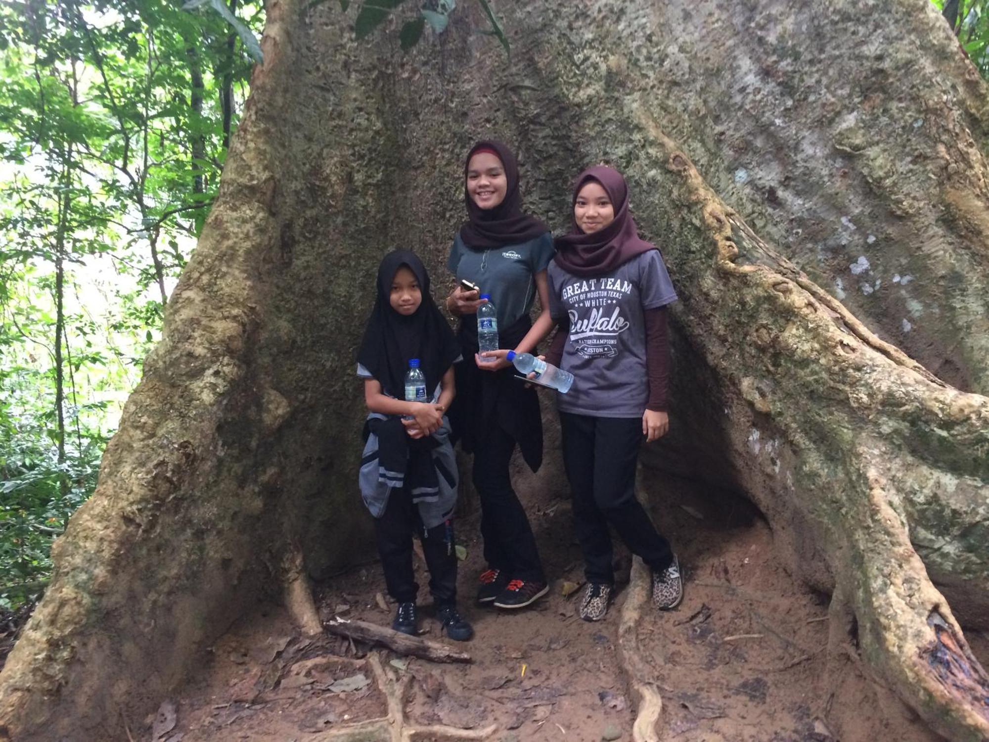Dtahan Motel Taman Negara Kuala Tahan Kültér fotó