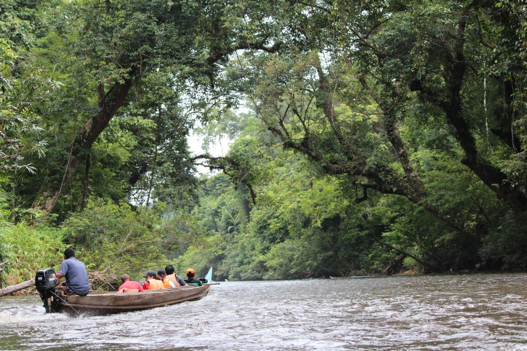 Dtahan Motel Taman Negara Kuala Tahan Kültér fotó